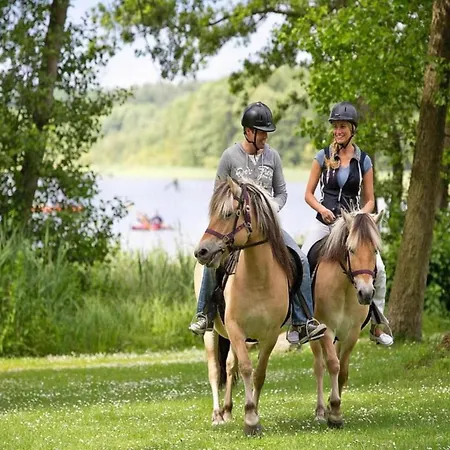 Exklusives Skandinavisches Гранцов